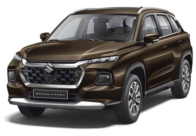 Suzuki Caribbean: Cosmic Black Pearl Metallic